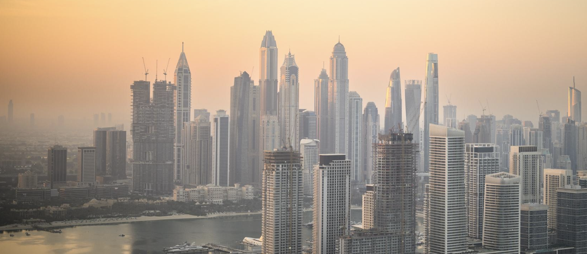 Expat professionals in the Gulf